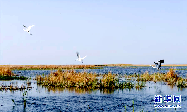 习近平总书记同出席2019年全国两会人大代表、政协委员共商国是纪实