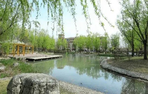 在燕理感受不一样的生活环境