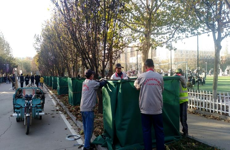 燕理后勤扎实做好冬季树木养护管理工作