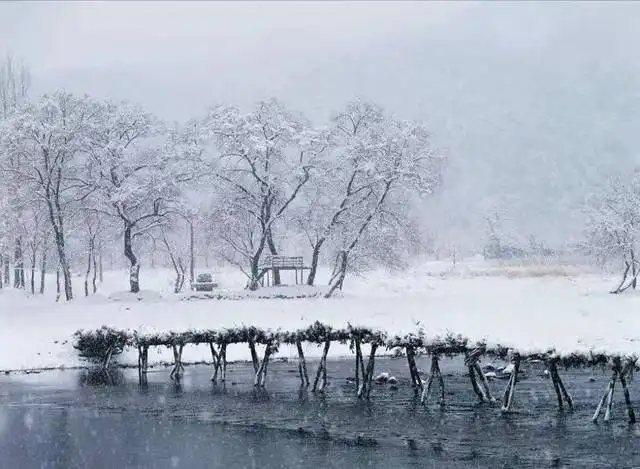 大雪知寒，年年落雪，雪落年年