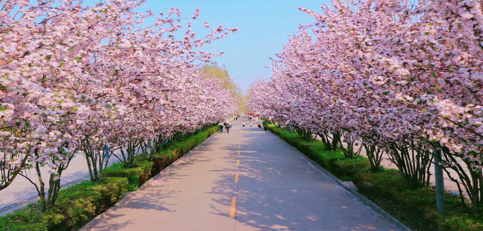 燕京理工学院荣获“2021年度河北省学校安全工作先进集体”称号