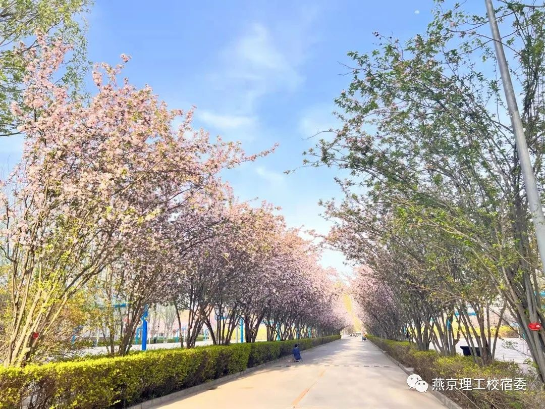 待你归来，共赏燕理校园美景