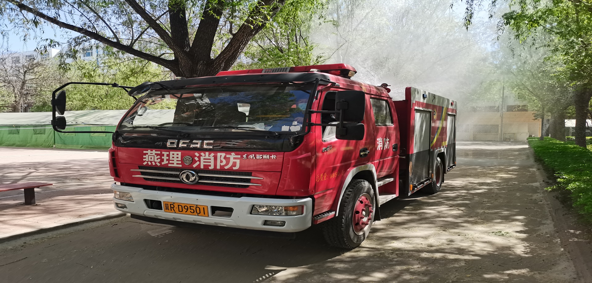 治理杨柳飞絮 消除安全隐患
