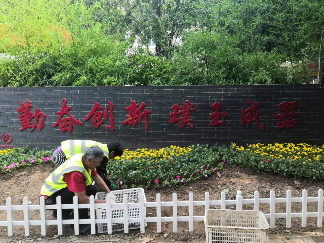 用心用力用情，燕理后勤物业团队深耕环境提升和师生服务
