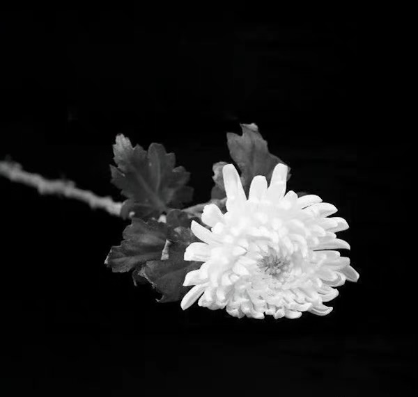 敬爱的江泽民同志永垂不朽——全国各地各族人民沉痛悼念江泽民同志