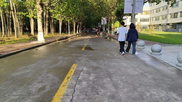 美好生活社区建设|雷雨过后快速响应 保障道路安全通行