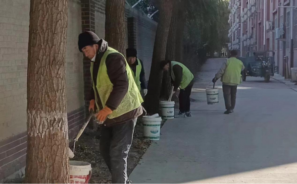 创建美好生活社区|开启园林绿化“防冻”模式 ，确保植物温暖过冬