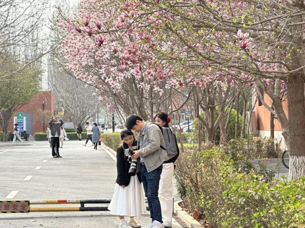 创建美好生活社区 | 燕理春韵—绿意盎然绘生活，后勤情深暖人心