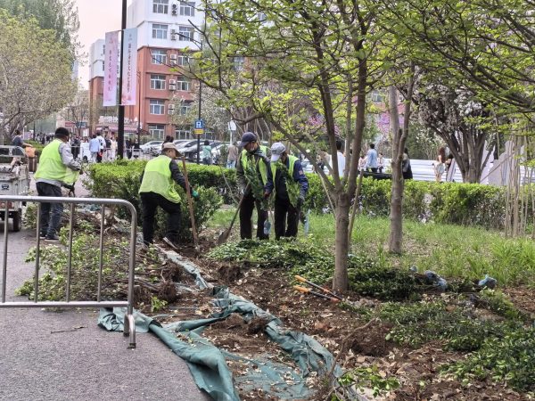 创建美好生活社区|不负春光好时节 燕理抢抓校园景观“加减乘除”