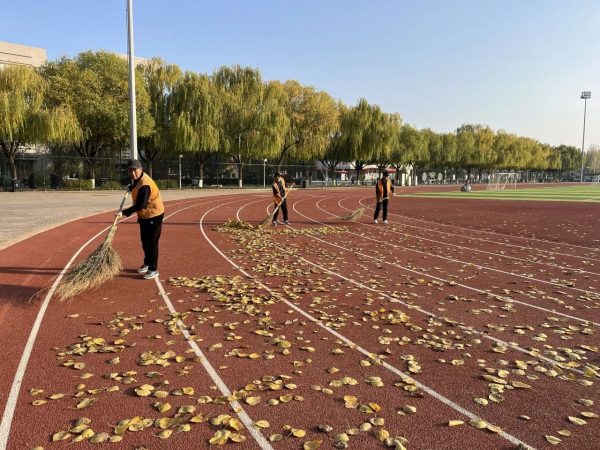 燕理冬韵 落叶清扫进行时