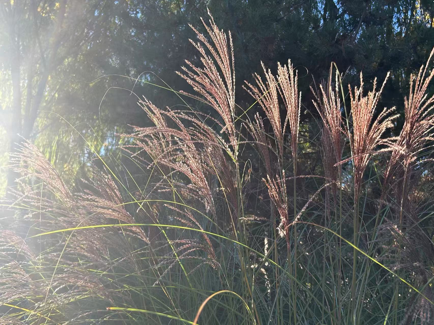 春日新气象，校园基建工程启动